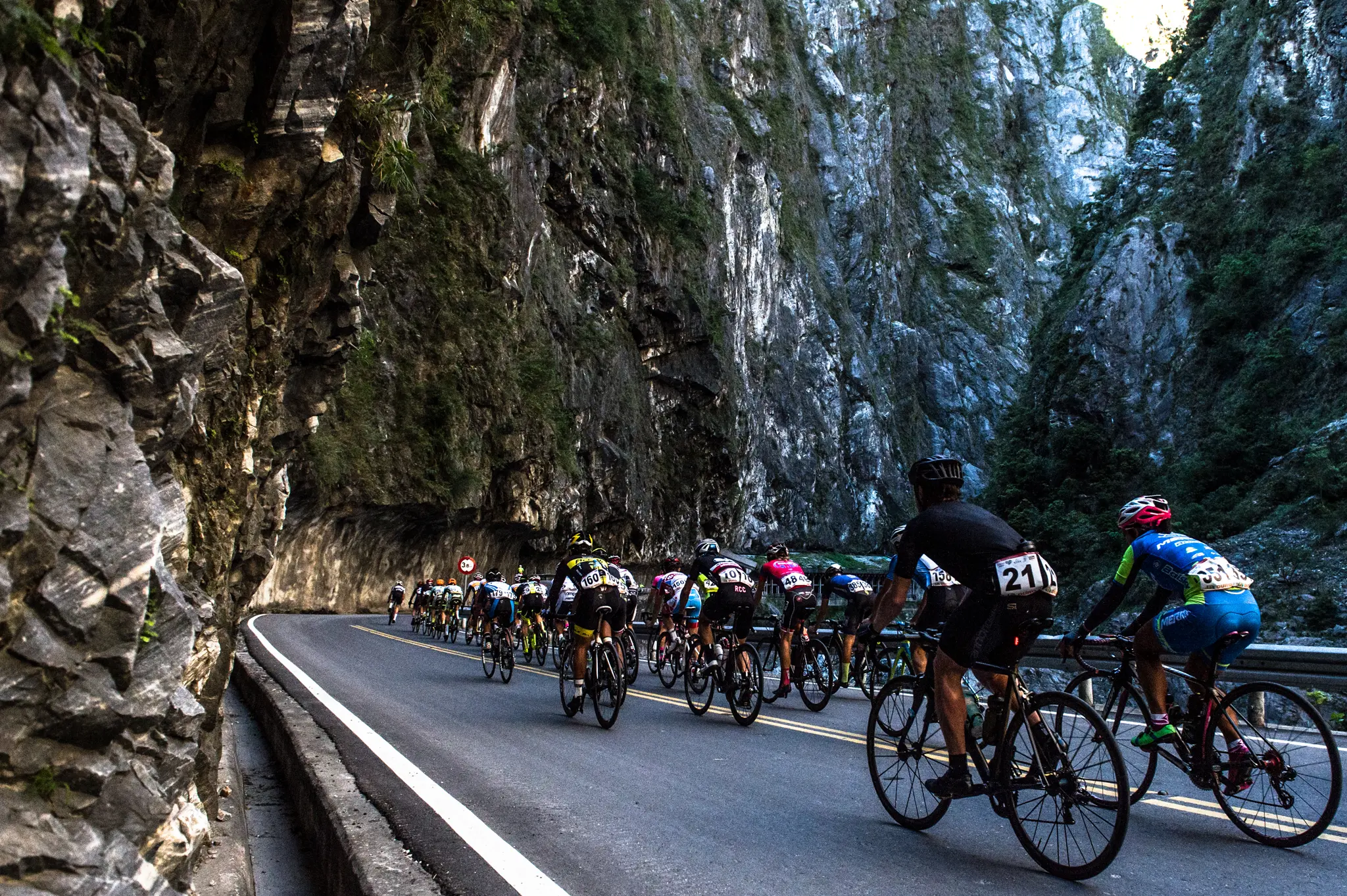 Taiwan Bike - Web Portal - Home